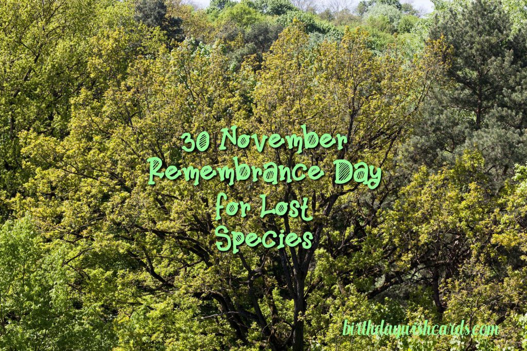 Birthday Wish Cards | 30-November Remembrance Day for Lost Species: Birthday Wish Cards | 30-November Remembrance Day for Lost Species: