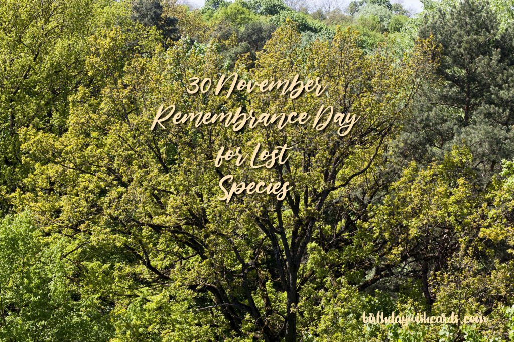 Birthday Wish Cards | 30-November Remembrance Day for Lost Species: Birthday Wish Cards | 30-November Remembrance Day for Lost Species: