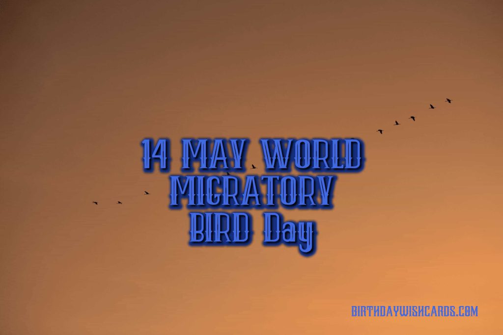 Birthday Wish Cards | 09-Oct World Migratory Bird Day: Birthday Wish Cards | 09-Oct World Migratory Bird Day: