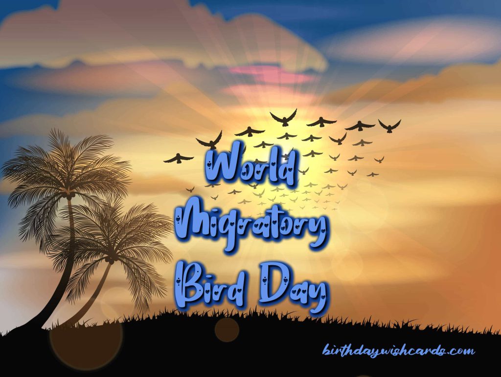 Birthday Wish Cards | 09-Oct World Migratory Bird Day: Birthday Wish Cards | 09-Oct World Migratory Bird Day: