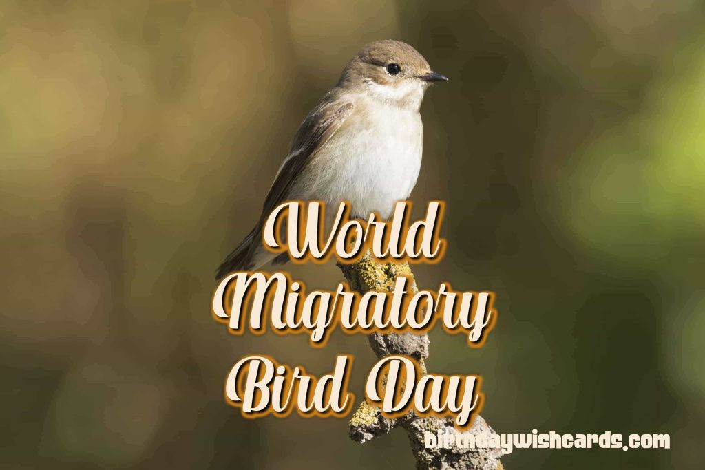 Birthday Wish Cards | 09-Oct World Migratory Bird Day: Birthday Wish Cards | 09-Oct World Migratory Bird Day: