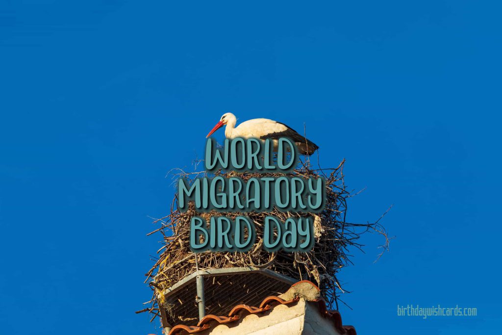 Birthday Wish Cards | 09-Oct World Migratory Bird Day: Birthday Wish Cards | 09-Oct World Migratory Bird Day: