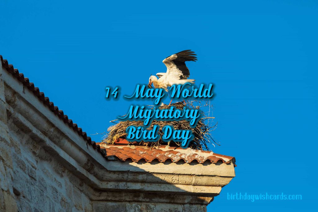 Birthday Wish Cards | 09-Oct World Migratory Bird Day: Birthday Wish Cards | 09-Oct World Migratory Bird Day: