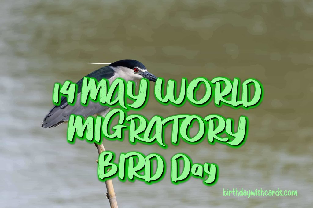 Birthday Wish Cards | 09-Oct World Migratory Bird Day: Birthday Wish Cards | 09-Oct World Migratory Bird Day: