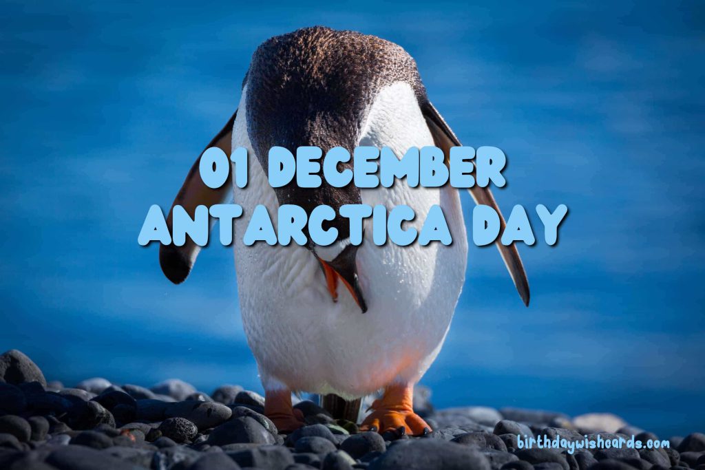Birthday Wish Cards | 01-December Antarctica Day: Birthday Wish Cards | 01-December Antarctica Day: