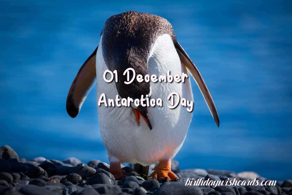 Birthday Wish Cards | 01-December Antarctica Day: Birthday Wish Cards | 01-December Antarctica Day: