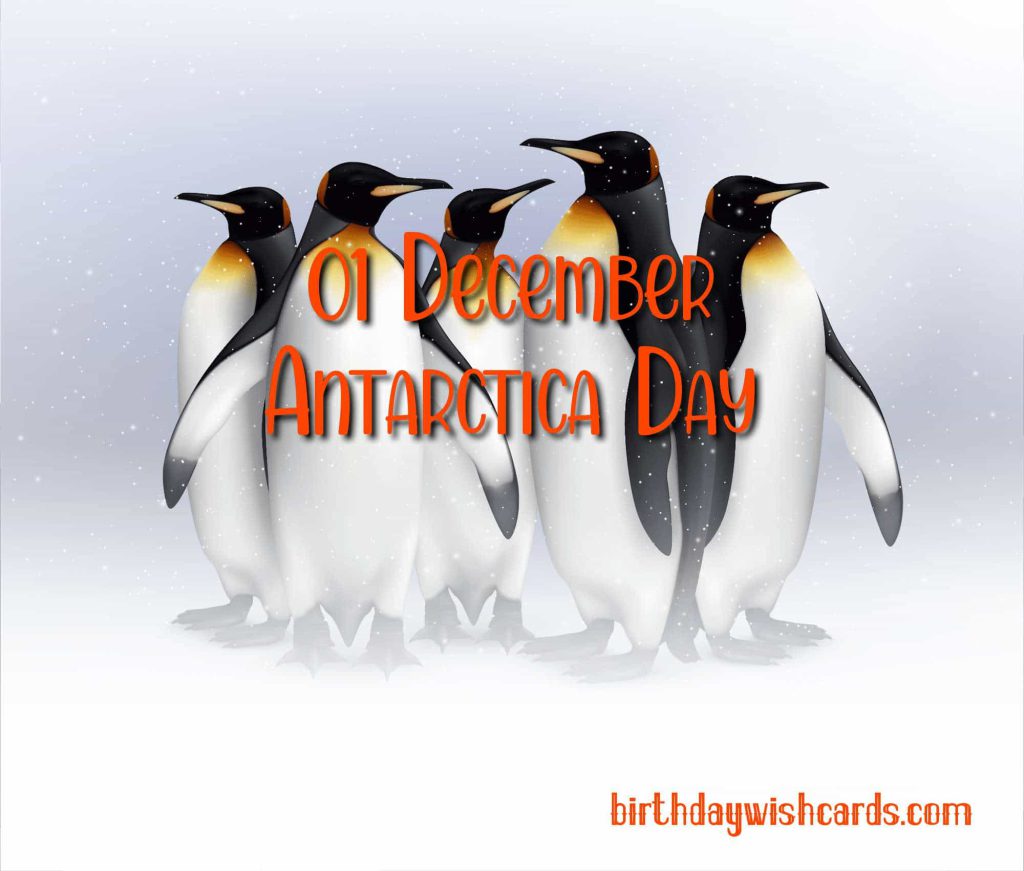 Birthday Wish Cards | 01-December Antarctica Day: Birthday Wish Cards | 01-December Antarctica Day: