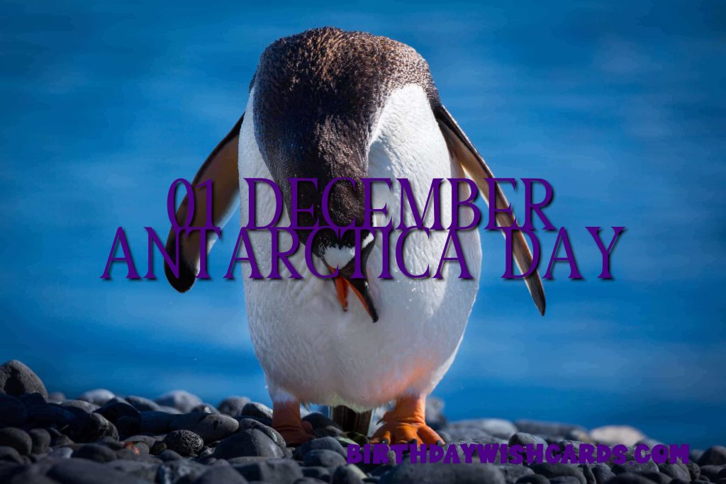 Birthday Wish Cards | 01-December Antarctica Day: Birthday Wish Cards | 01-December Antarctica Day: