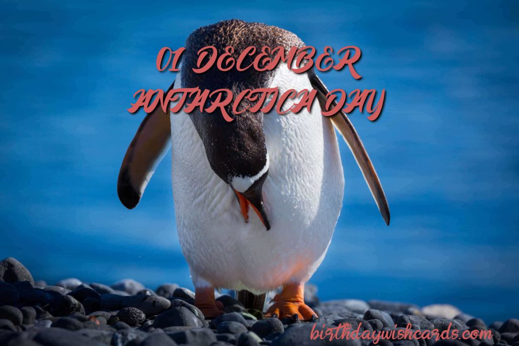 Birthday Wish Cards | 01-December Antarctica Day: Birthday Wish Cards | 01-December Antarctica Day: