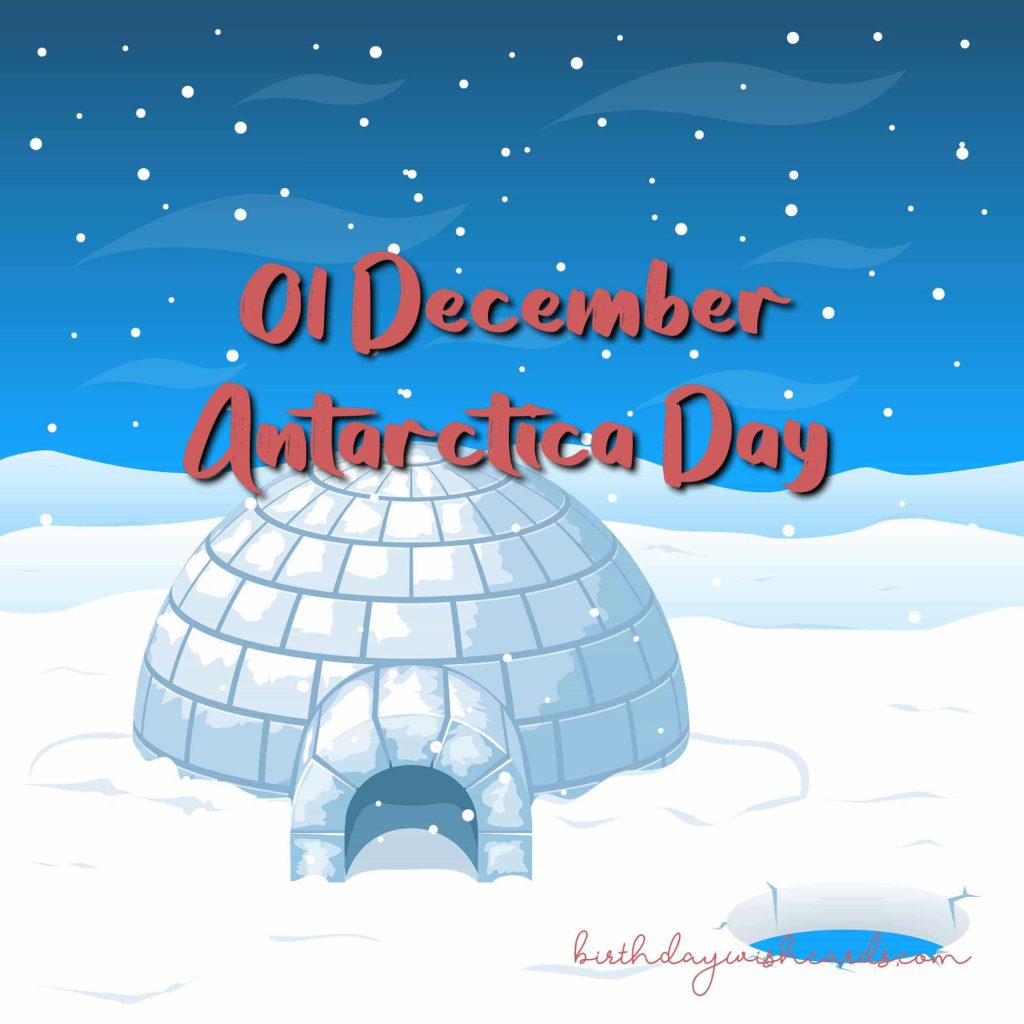 Birthday Wish Cards | 01-December Antarctica Day: Birthday Wish Cards | 01-December Antarctica Day: