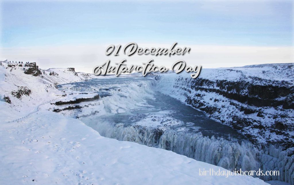 Birthday Wish Cards | 01-December Antarctica Day: Birthday Wish Cards | 01-December Antarctica Day: