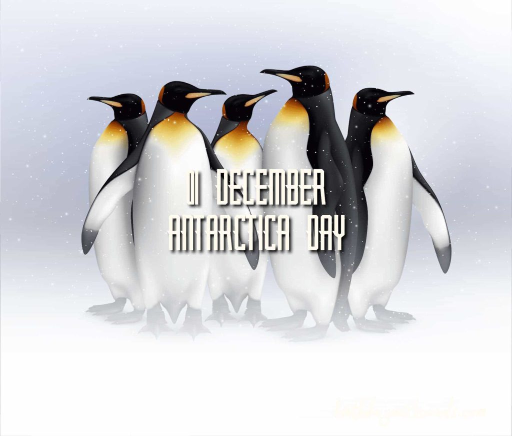 Birthday Wish Cards | 01-December Antarctica Day: Birthday Wish Cards | 01-December Antarctica Day: