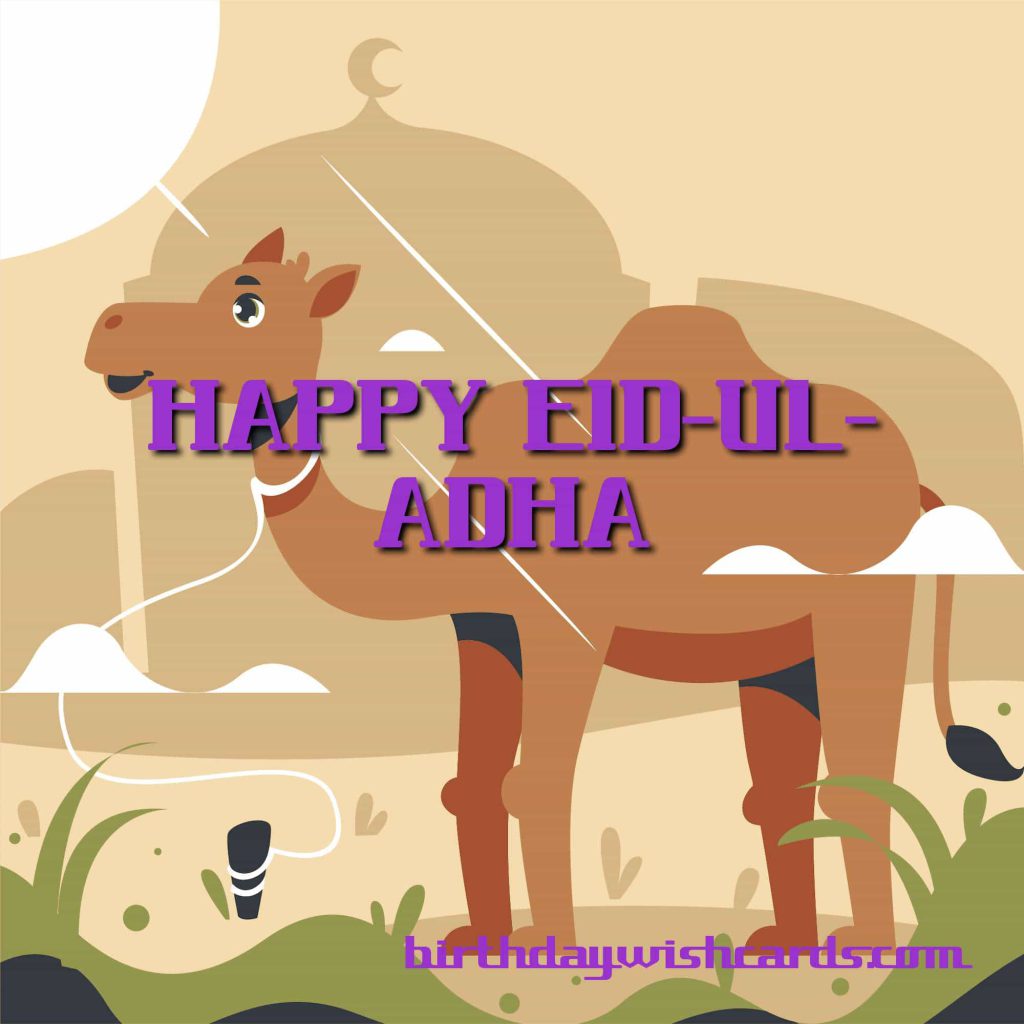 Birthday Wish Cards | EID-UL-ADHA Birthday Wish Cards | EID-UL-ADHA