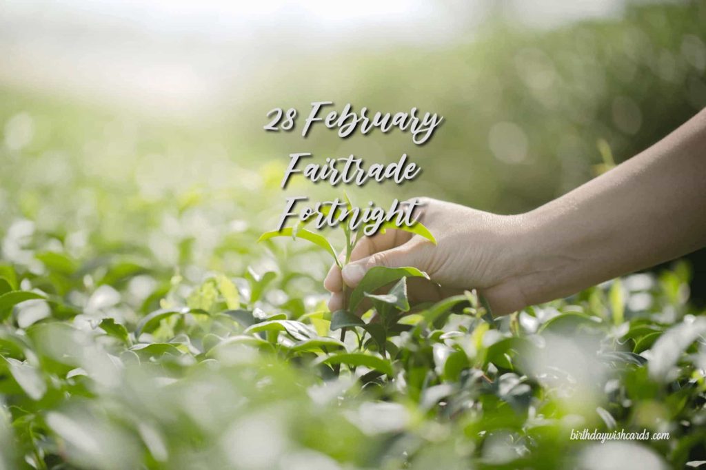 Birthday Wish Cards | 28-February Fair Trade Fortnight Week: Birthday Wish Cards | 28-February Fair Trade Fortnight Week: