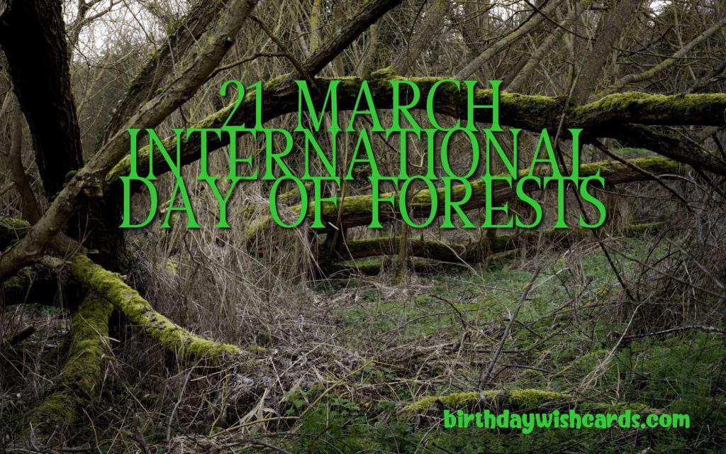 Birthday Wish Cards | 21-March International Day For Forests: Birthday Wish Cards | 21-March International Day For Forests: