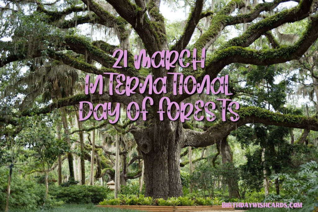 Birthday Wish Cards | 21-March International Day For Forests: Birthday Wish Cards | 21-March International Day For Forests: