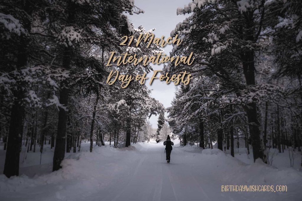 Birthday Wish Cards | 21-March International Day For Forests: Birthday Wish Cards | 21-March International Day For Forests: