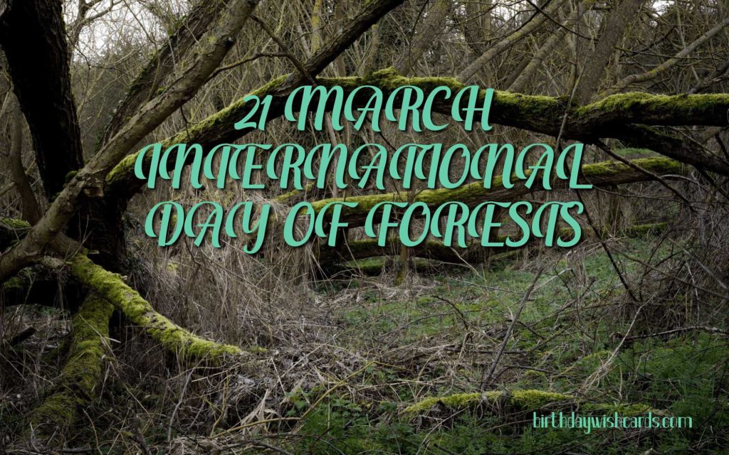 Birthday Wish Cards | 21-March International Day For Forests: Birthday Wish Cards | 21-March International Day For Forests: