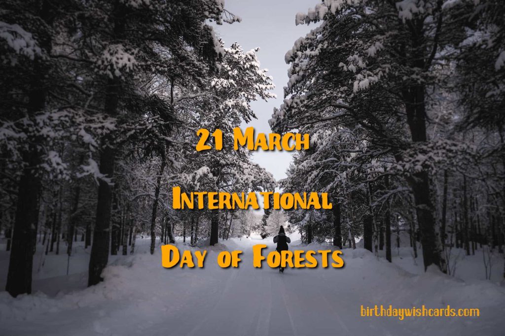 Birthday Wish Cards | 21-March International Day For Forests: Birthday Wish Cards | 21-March International Day For Forests:
