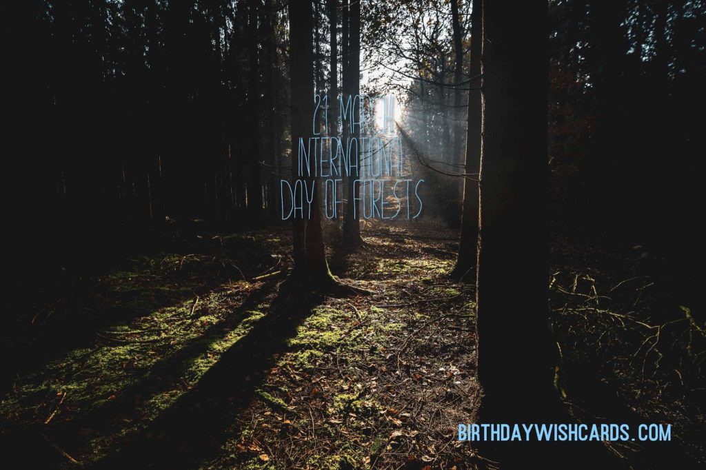 Birthday Wish Cards | 21-March International Day For Forests: Birthday Wish Cards | 21-March International Day For Forests: