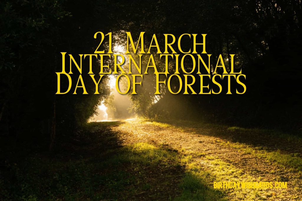 Birthday Wish Cards | 21-March International Day For Forests: Birthday Wish Cards | 21-March International Day For Forests: