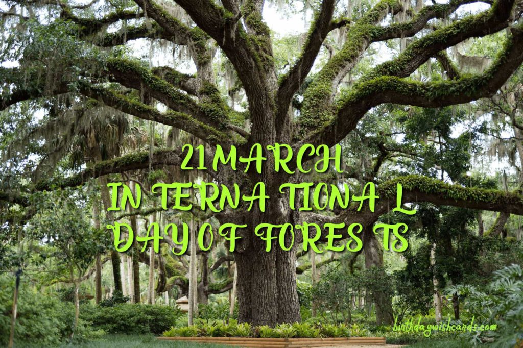 Birthday Wish Cards | 21-March International Day For Forests: Birthday Wish Cards | 21-March International Day For Forests: