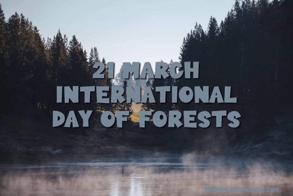 Birthday Wish Cards | 21-March International Day For Forests: Birthday Wish Cards | 21-March International Day For Forests:
