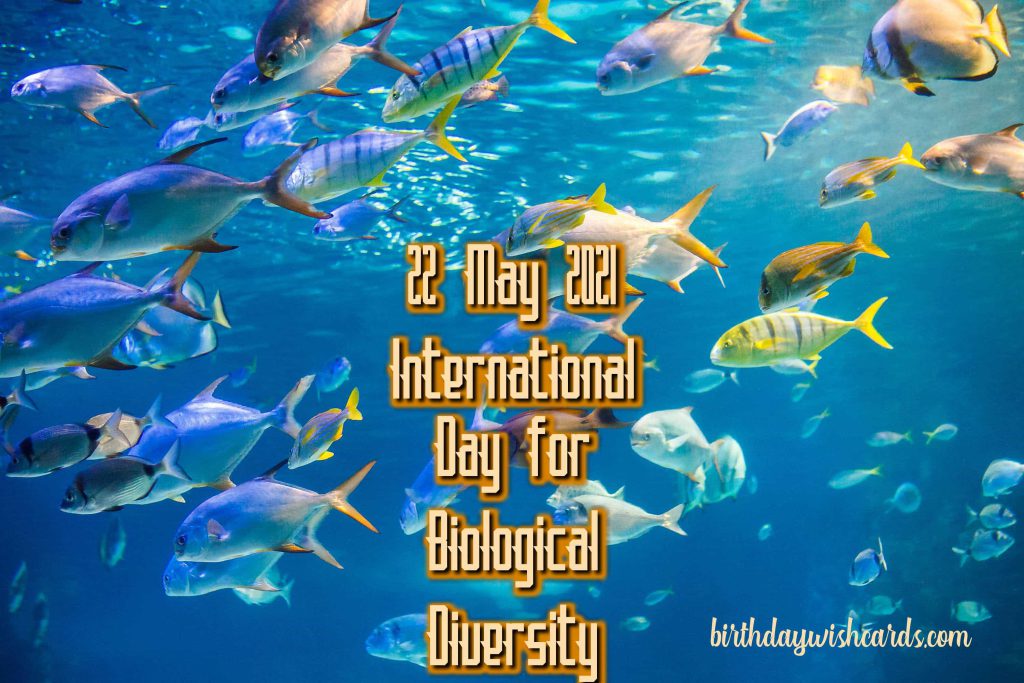 Birthday Wish Cards | 22-May International Day for Biological Diversity: Birthday Wish Cards | 22-May International Day for Biological Diversity: