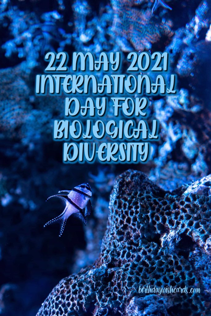 Birthday Wish Cards | 22-May International Day for Biological Diversity: Birthday Wish Cards | 22-May International Day for Biological Diversity: