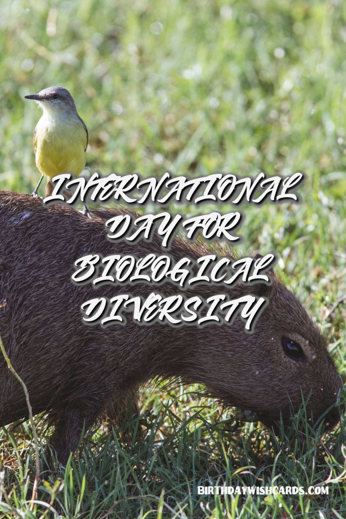 Birthday Wish Cards | 22-May International Day for Biological Diversity: Birthday Wish Cards | 22-May International Day for Biological Diversity: