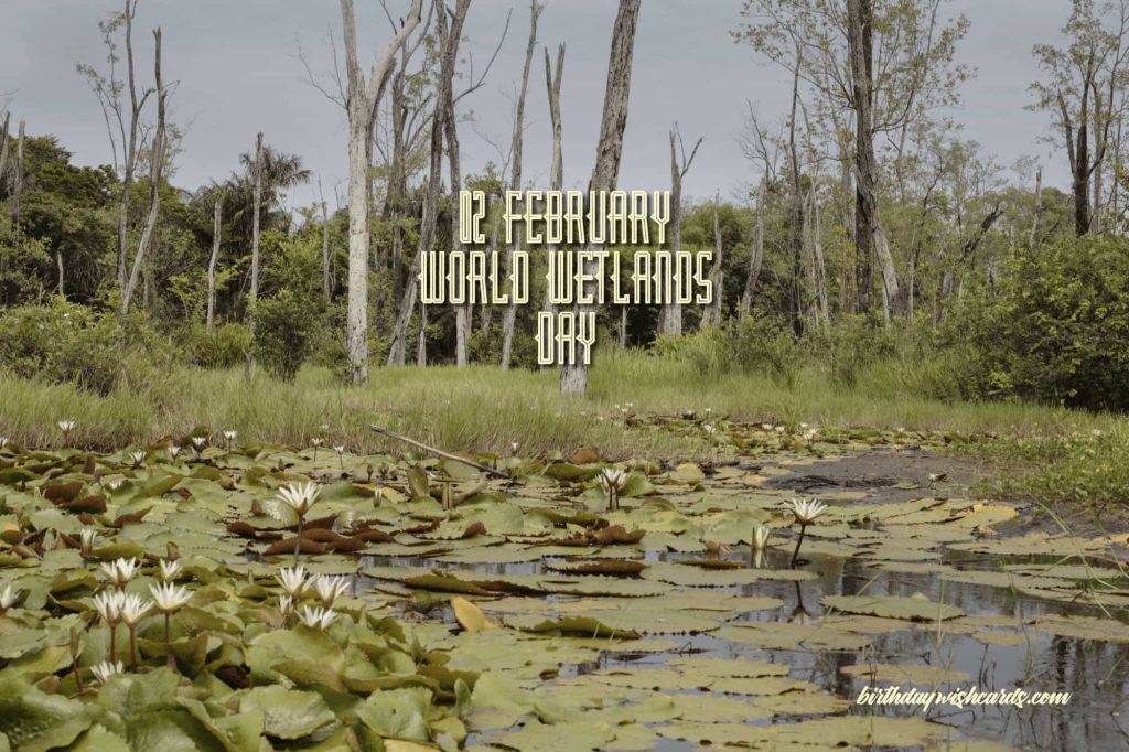 Birthday Wish Cards | 02-February World Wetlands Day: Birthday Wish Cards | 02-February World Wetlands Day:
