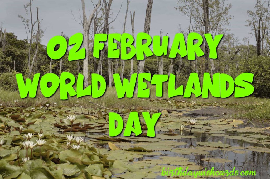 Birthday Wish Cards | 02-February World Wetlands Day: Birthday Wish Cards | 02-February World Wetlands Day: