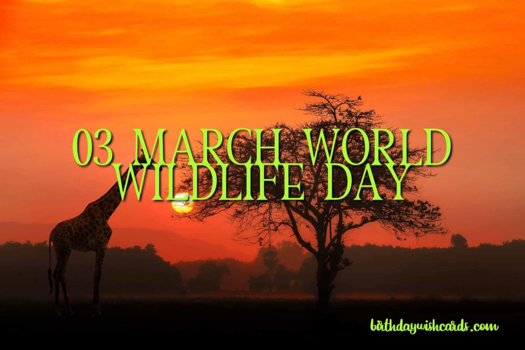 Birthday Wish Cards | 03-March World Wildlife Day: Birthday Wish Cards | 03-March World Wildlife Day:
