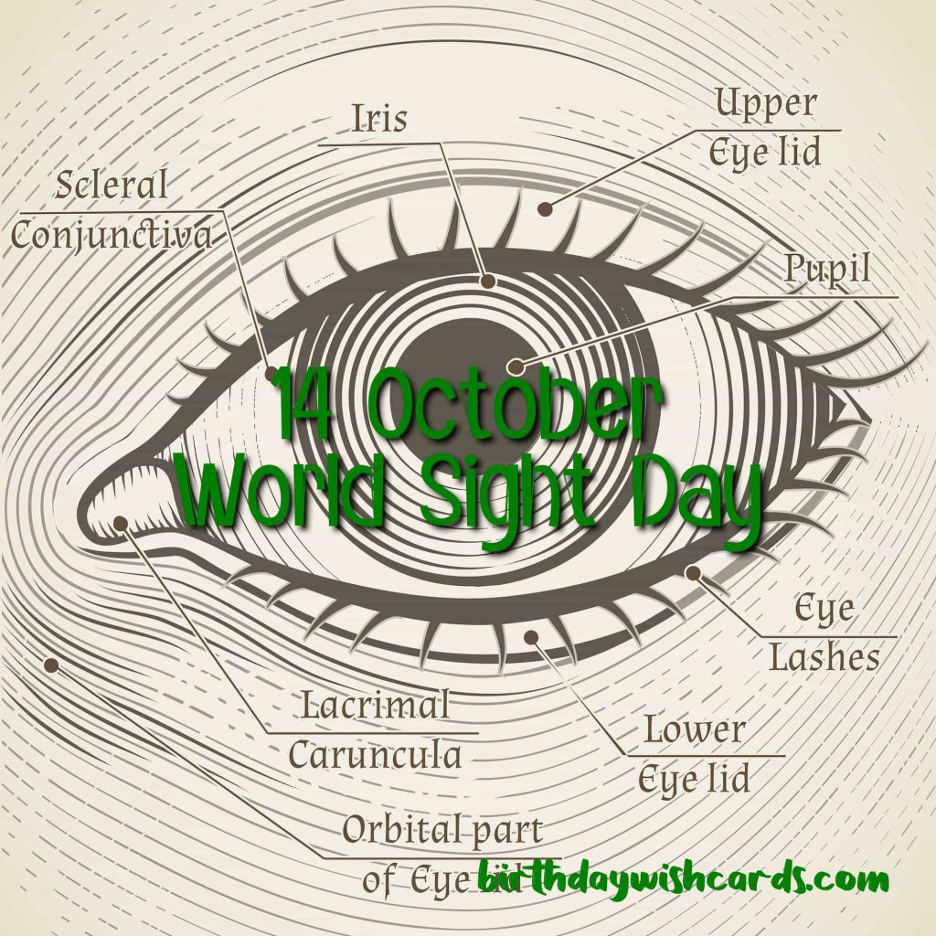 Birthday Wish Cards | 14-October World Sight Day: Birthday Wish Cards | 14-October World Sight Day: