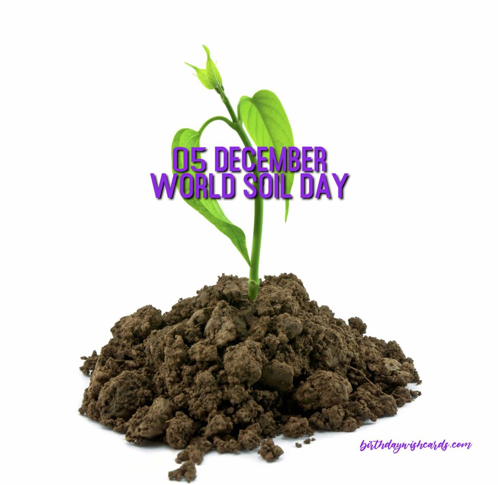 Birthday Wish Cards | 5-December World Soil Day: Birthday Wish Cards | 5-December World Soil Day: