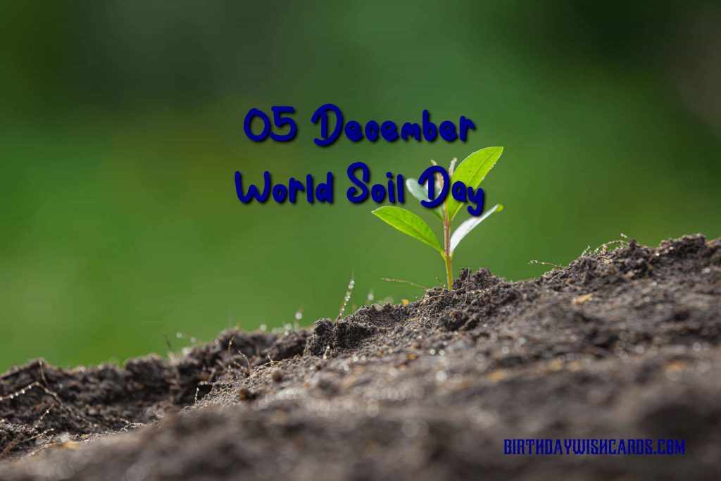 Birthday Wish Cards | 5-December World Soil Day: Birthday Wish Cards | 5-December World Soil Day: