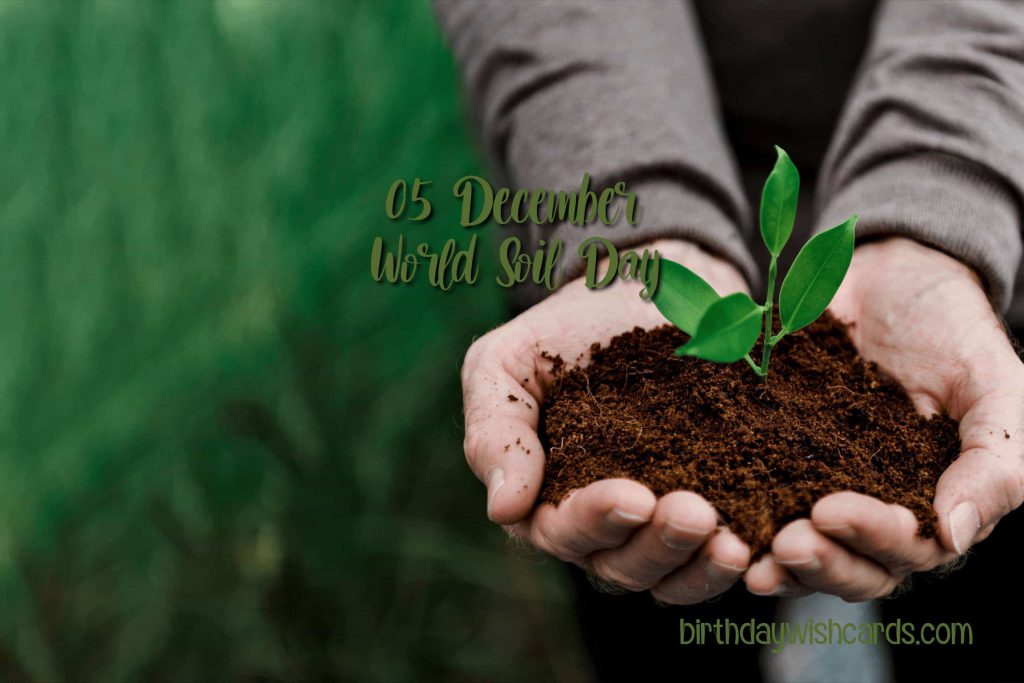 Birthday Wish Cards | 5-December World Soil Day: Birthday Wish Cards | 5-December World Soil Day: