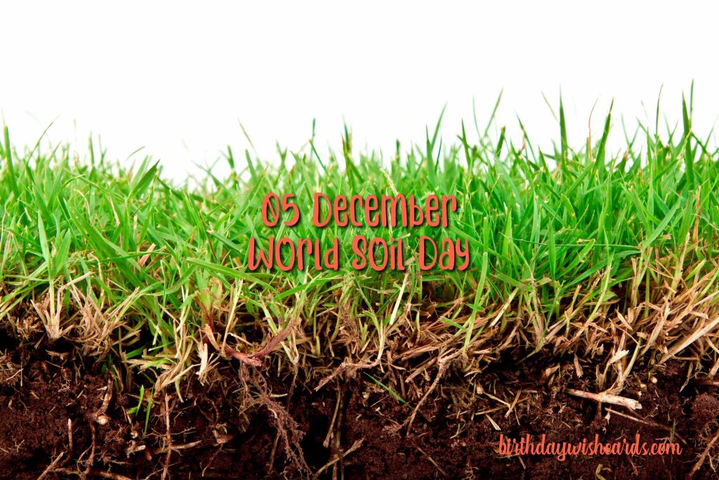 Birthday Wish Cards | 5-December World Soil Day: Birthday Wish Cards | 5-December World Soil Day: