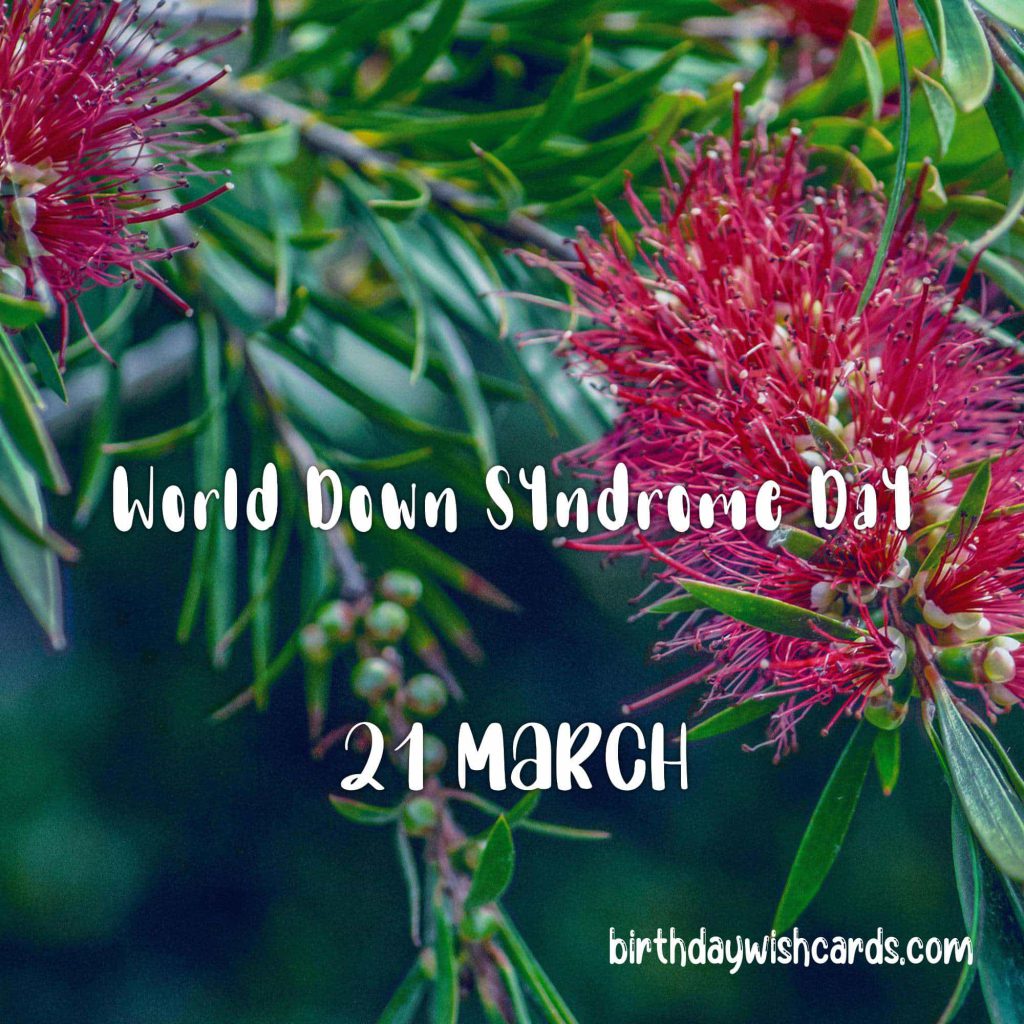 Birthday Wish Cards | 21-March World Down Syndrome Day: Birthday Wish Cards | 21-March World Down Syndrome Day: