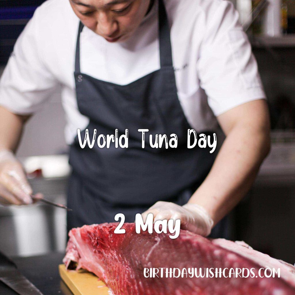 Birthday Wish Cards | 2-May World Tuna Day: Birthday Wish Cards | 2-May World Tuna Day:
