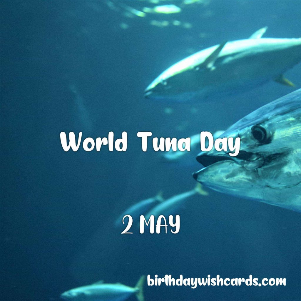 Birthday Wish Cards | 2-May World Tuna Day: Birthday Wish Cards | 2-May World Tuna Day: