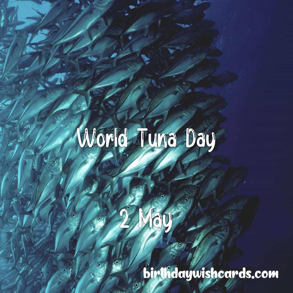Birthday Wish Cards | 2-May World Tuna Day: Birthday Wish Cards | 2-May World Tuna Day: