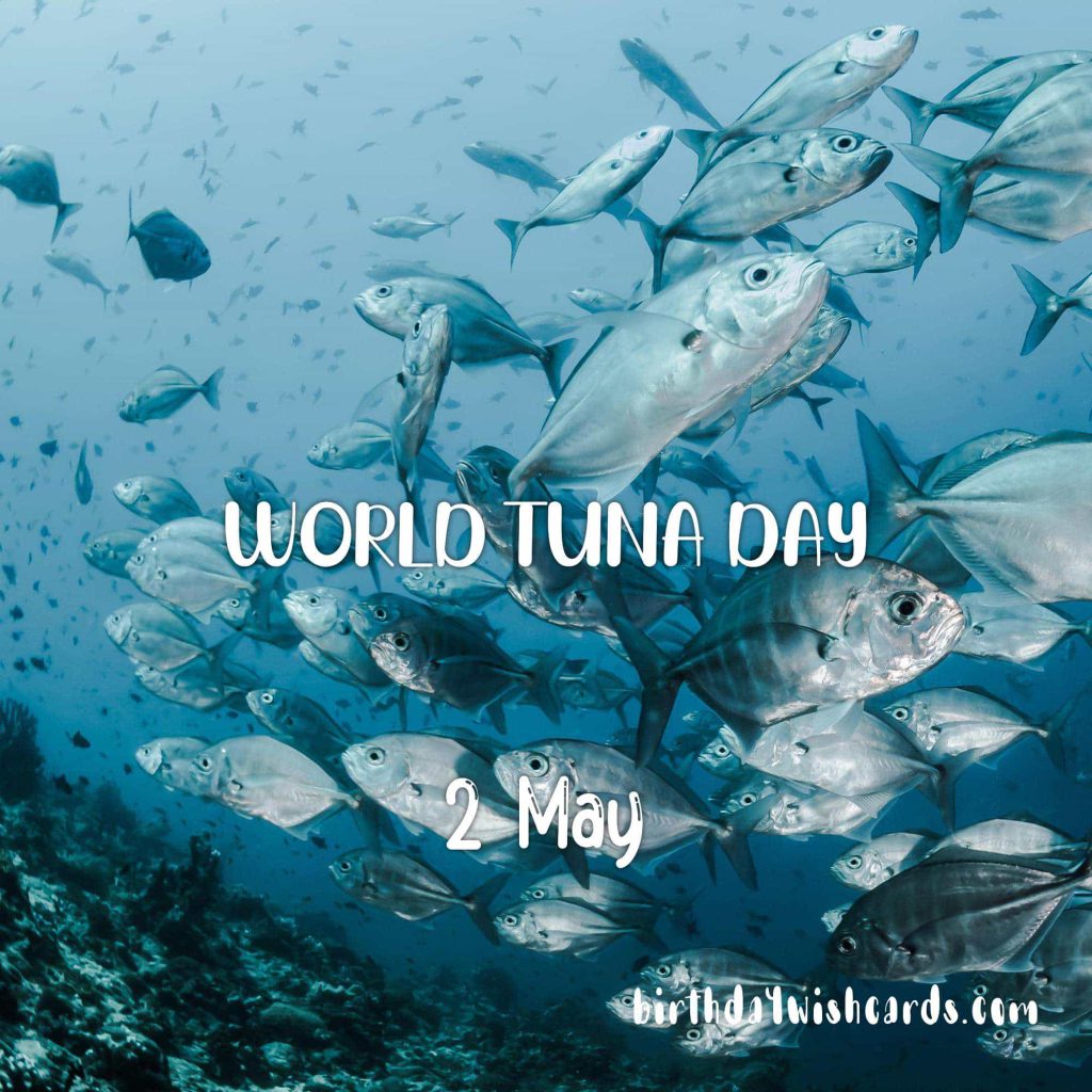 Birthday Wish Cards | 2-May World Tuna Day: Birthday Wish Cards | 2-May World Tuna Day: