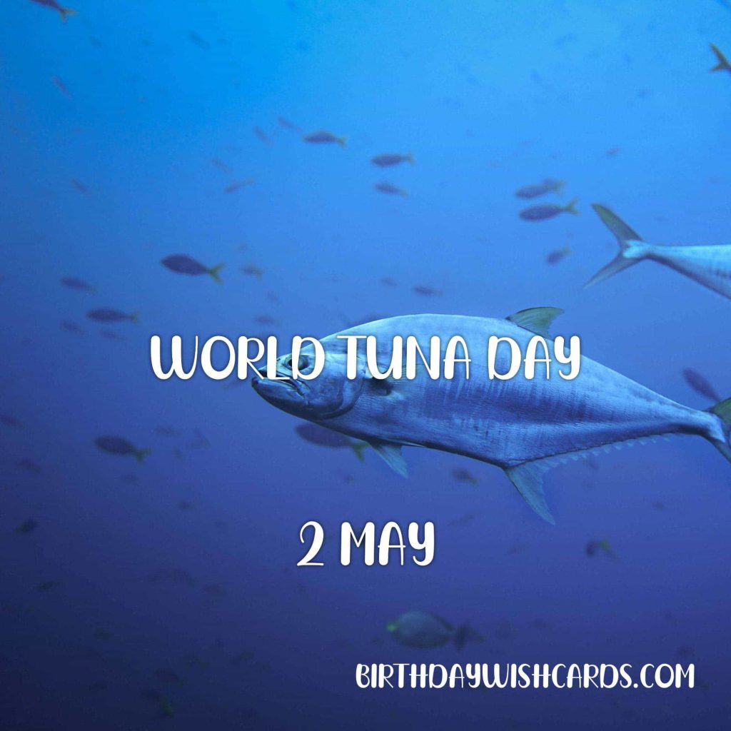 Birthday Wish Cards | 2-May World Tuna Day: Birthday Wish Cards | 2-May World Tuna Day: