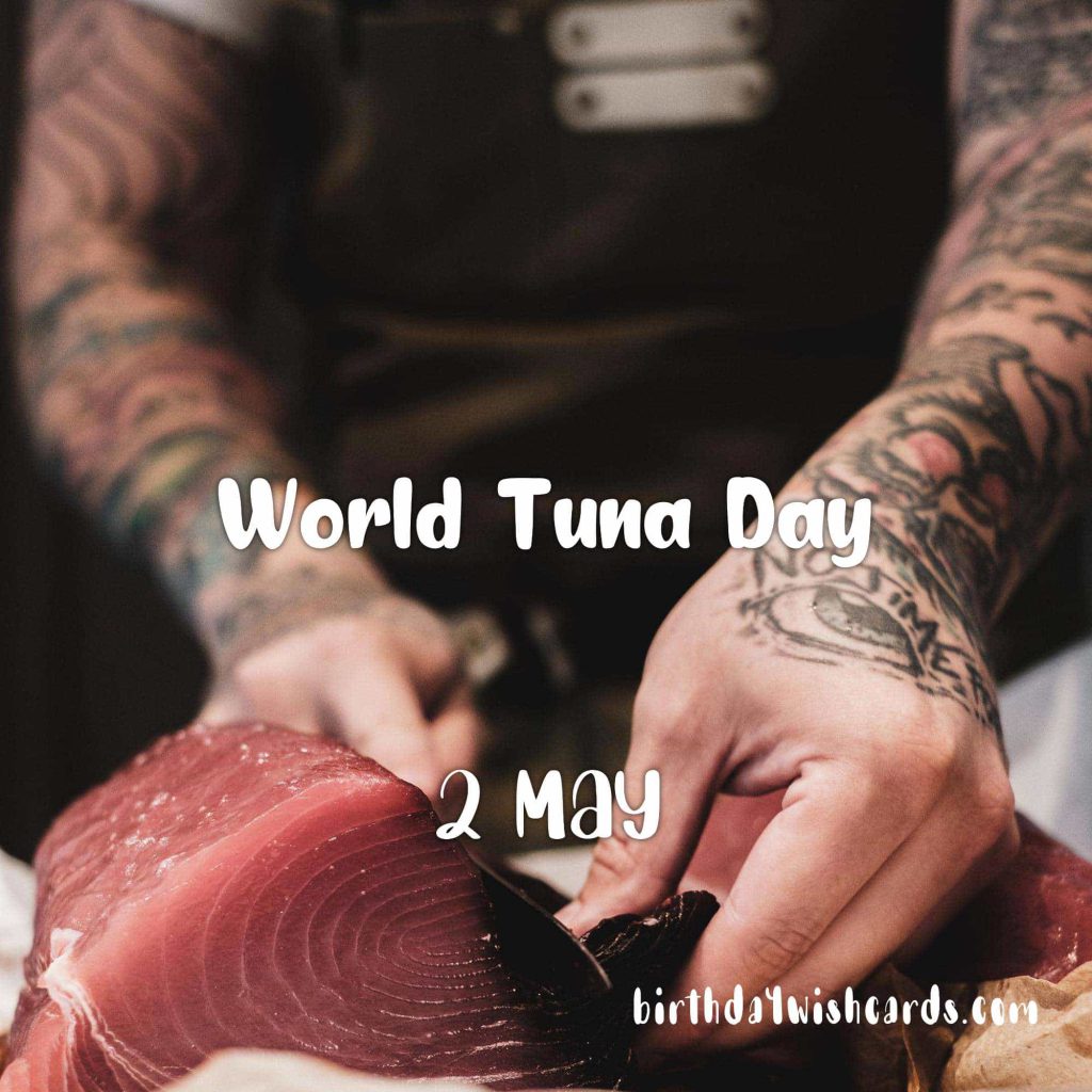Birthday Wish Cards | 2-May World Tuna Day: Birthday Wish Cards | 2-May World Tuna Day: