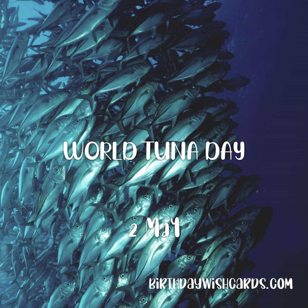 Birthday Wish Cards | 2-May World Tuna Day: Birthday Wish Cards | 2-May World Tuna Day: