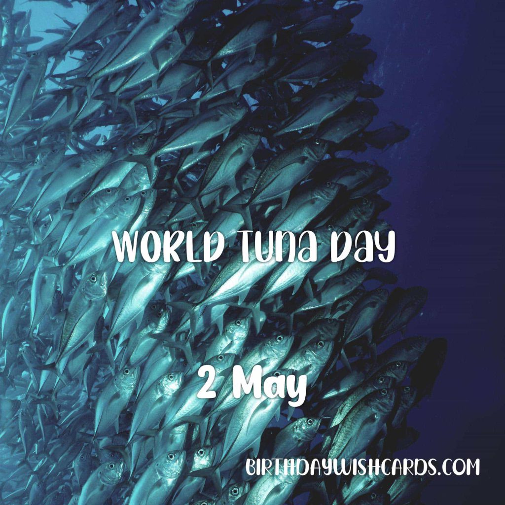 Birthday Wish Cards | 2-May World Tuna Day: Birthday Wish Cards | 2-May World Tuna Day: