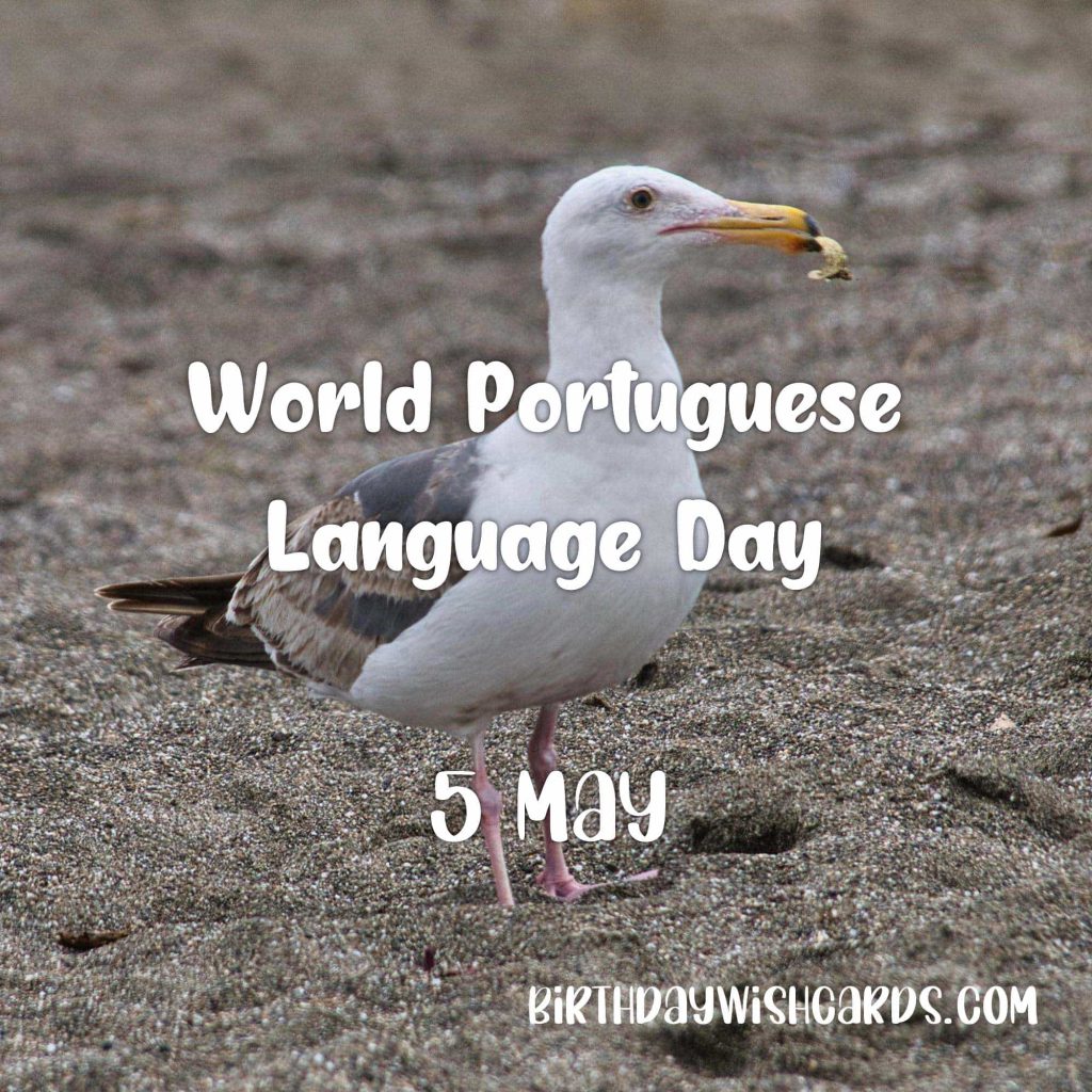 Birthday Wish Cards | 5-May World Portuguese Language Day: Birthday Wish Cards | 5-May World Portuguese Language Day: