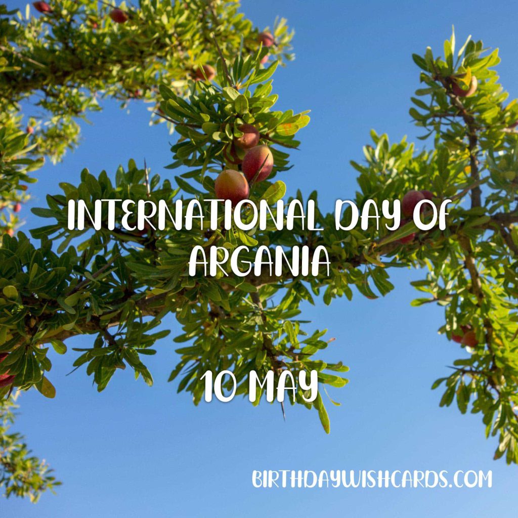 Birthday Wish Cards | 10-May International Day of Argania: Birthday Wish Cards | 10-May International Day of Argania: