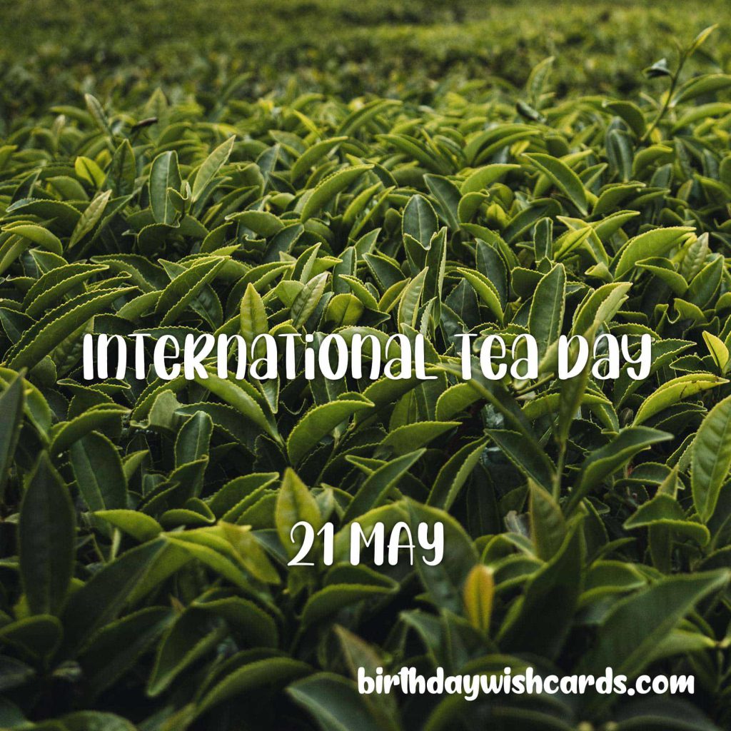 Birthday Wish Cards | 21-May International Tea Day: Birthday Wish Cards | 21-May International Tea Day: